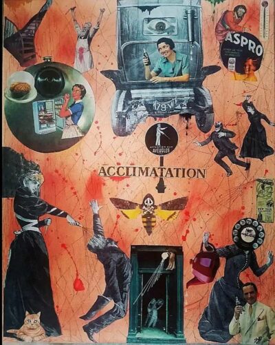 Shori - Acclimatation - 2022