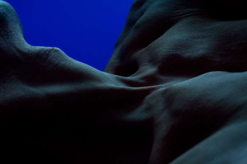 Louise-Dumont-Photographe-4-serie-blue-IKB-Galerie-Art-contemporain-ARTree
